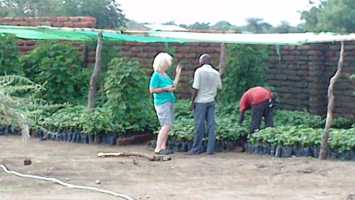 Mit den Gärtnern in Baumschule, Active Aid in Africa, Malawi