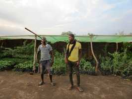 Helfer in Baumschule von Active Aid in Africa, Malawi