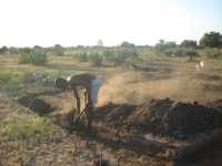 Abrackern auf dem Feld bei über 40 Grad im Schatten, Tengani, Malawi