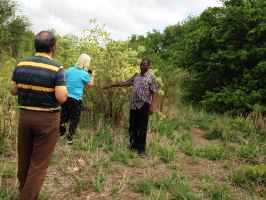 Wiederaufforstung in Tengani/ Malawi braucht das Land