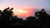 Abendstimmung unter Bäumen in Ngona, Malawi