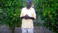 Matiasi Mybeck, Field Officer Active Aid in Africa in Ngona, Malawi