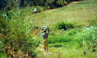 2002, Mulanje-Besuch