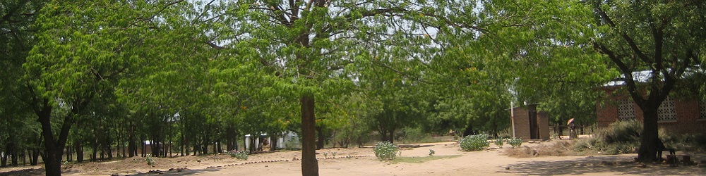 Schulpartnerschaft Active Aid in Africa mit Mpatsa Secondary School in Tengani, Malawi