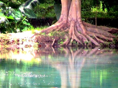 Afrika, Wald bringt Wasser und Leben