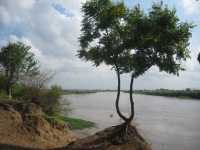 Herrliche Aussicht auf den Shire-Fluss, Malawi