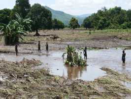 Chikwawa-Malawi-Ernte-total-vernichtet-Flut-2019