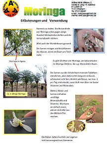 Moringa 
    als PDF-Datei