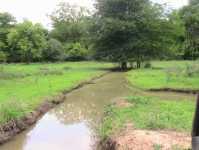 Flusslandschaft in Lengwe-Nationalpark