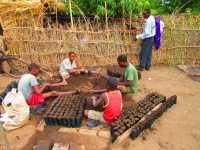 Befüllen der Pflanzsäckchen und Aussaat wird praktisch erlernt, Tengani, Malawi