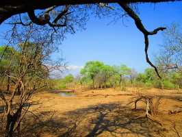 Savannenlandschaft Lower Shire, Malawi