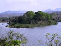 Flussinsel des Shire, Malawi