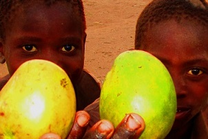 Projekte von Active Aid in Africa