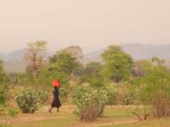 Dorf Lukwa, Lower Shire, Malawi