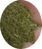 Moringa-Pulver