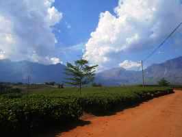 Mulanje-Massiv, Malawi