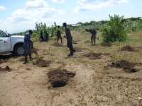 Vorbereitung &fuuml;r Aussaat auf AAA-Feld, Tengani, Malawi