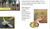 Presse, Downloads von Active Aid in Africa