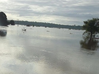 Folge des Wirbelsturms Idai im Lower Shire: Flut. Flucht mit dem Boot Folge des Wirbelsturms Idai im Lower Shire: Flut. Flucht mit dem Boot