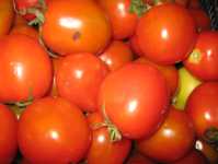 Tomaten