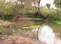 Lower Shire-Tal überschwemmt anno 2009