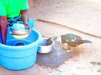 Wasser und Ernährungsart in Malawi