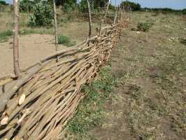 Alter Zaun um Projektbasis von Active Aid in Africa, Malawi