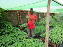 Mr. Kuthenta, Gärtner in Baumschule von Active Aid in Africa, Malawi