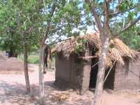 Malawi-Lower Shire-Dorf in Tengani