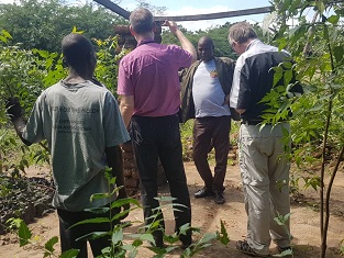 Missionare besichtigen AAA-Baumschule, Ngona