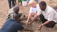 Startpflanzung mit Traditional Authority in Tengani, Malawi