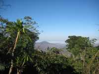 Soche-Hill-Wald im Hochland bei Blantyre