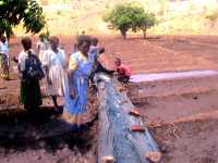 Malawi-Chalinze-Bewässerungsprojekt von COPRED