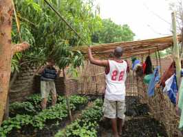 Überdachung für Baumschule, Active Aid in Africa, Malawi