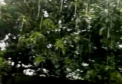 Starkregen in Blantyre, Malawi, Januar 2020