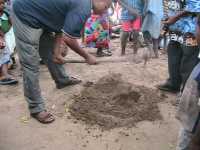 Mybeck demonstriert Jatropha-Pflanzung, Tengani, Malawi
